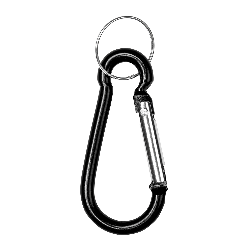 Live In The USA '78 Carabiner 2 